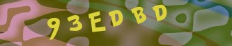 Validation Image