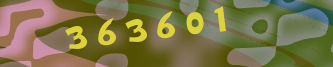 Validation Image