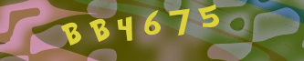 Validation Image