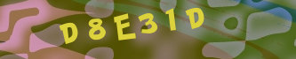 Validation Image