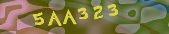 Validation Image