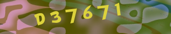 Validation Image