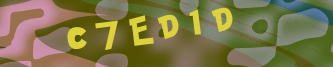 Validation Image
