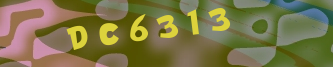 Validation Image