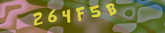 Validation Image