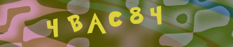 Validation Image