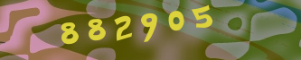 Validation Image