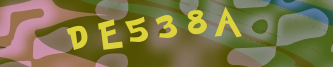 Validation Image