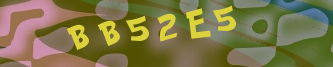 Validation Image